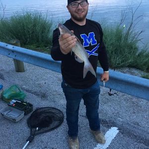 Meet your Posher, Zach